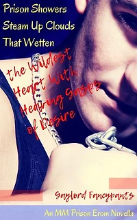 Prison Showers Steam Up Clouds That Wetten the Wildest Heart With Heaving Gasps of Desire: An MM Prison Erom Novella