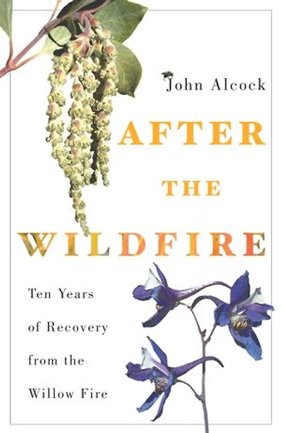 After the Wildfire: Ten Years of Recovery from Willow Fire
