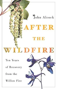 After the Wildfire: Ten Years of Recovery from Willow Fire
