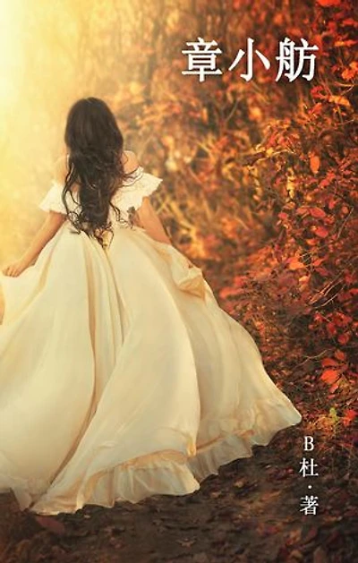 章小舫(简体字版): Miss Zhang (A novel written in simplified Chinese characters)