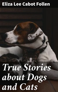 True Stories about Dogs and Cats: Heartwarming Pet Tales: Unconditional Love and Loyalty of Furry Companions
