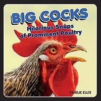 Big Cocks: Hilarious Snaps Of Prominent Poultry