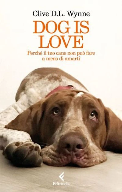 Dog is love: Perchè il tuo cane non può fare a meno di amarti