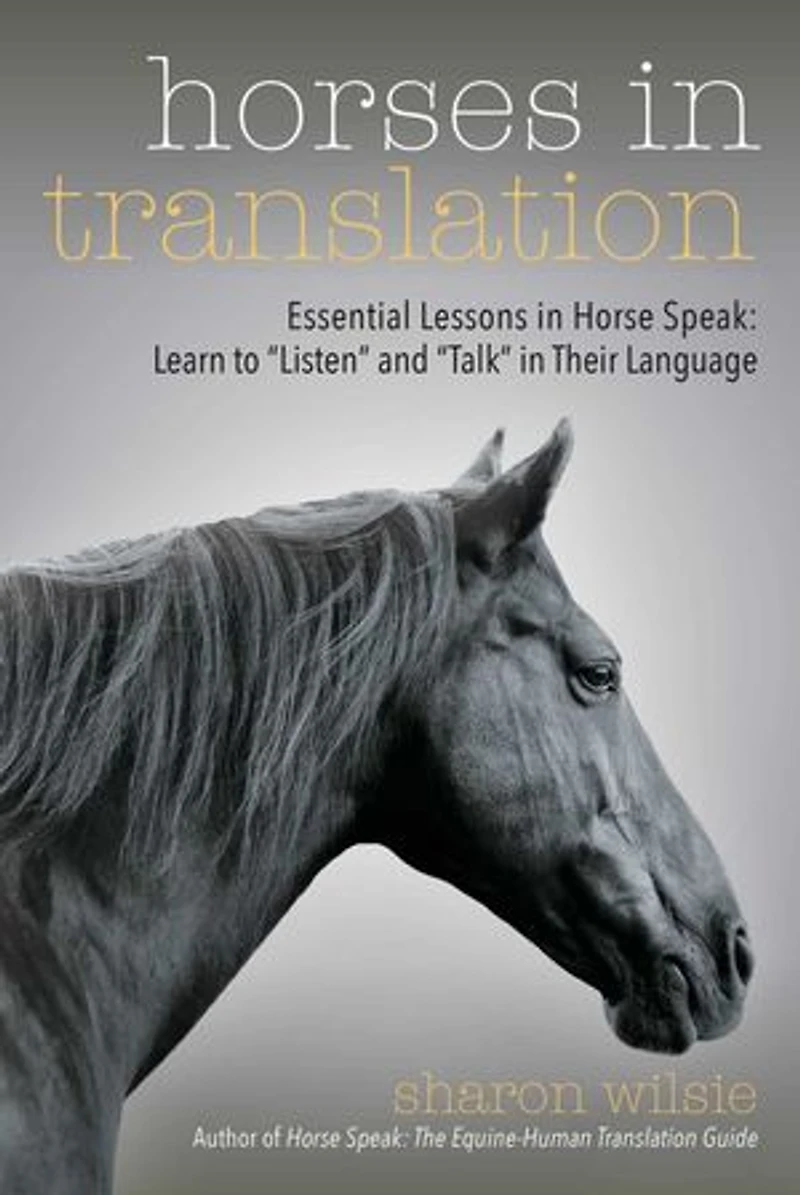 Horses Translation: Essential Lessons Horse Speak