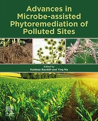 Advances Microbe-assisted Phytoremediation of Polluted Sites