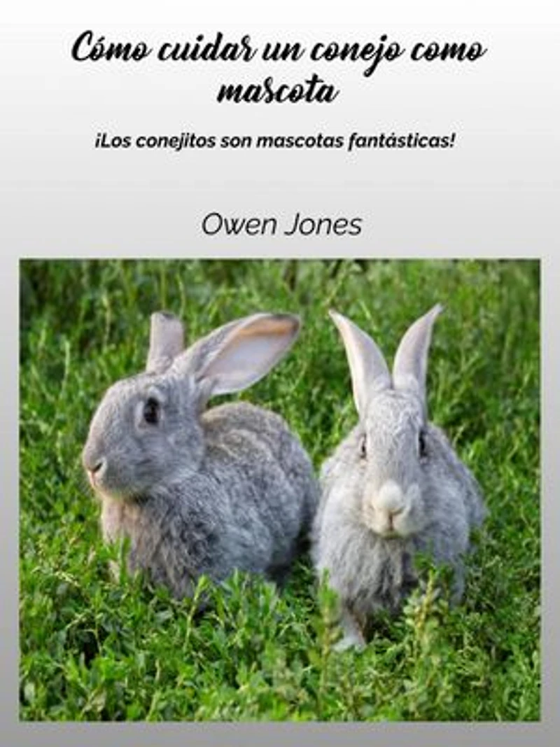 Cómo cuidar un conejo como mascota: Como..., #126