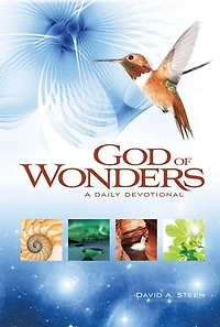 God of Wonders