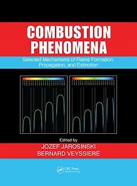 Combustion Phenomena: Selected Mechanisms Of Flame Formation, Propagation And Extinction