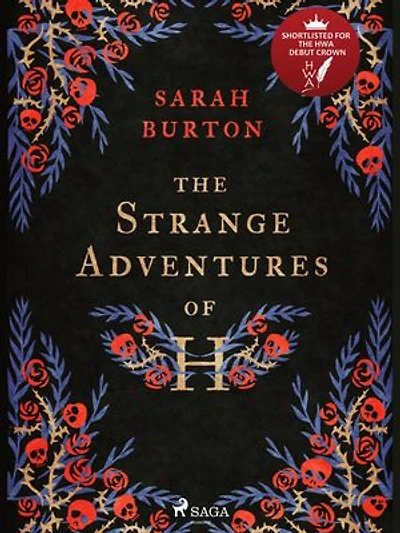 The Strange Adventures of H: the enchanting rags-to-riches story set during the Great Plague of London