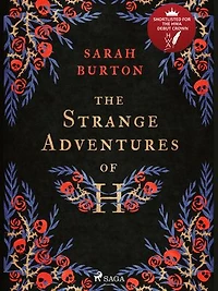 The Strange Adventures of H: the enchanting rags-to-riches story set during the Great Plague of London