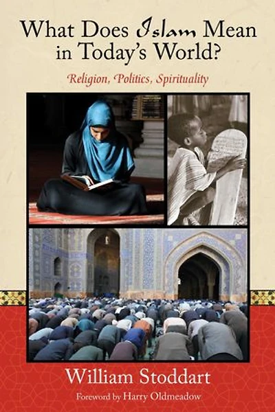 What Does Islam Mean Today's World?: Religion, Politics, Spirituality