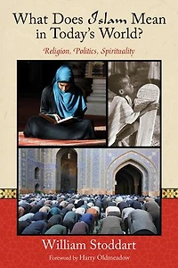 What Does Islam Mean Today's World?: Religion, Politics, Spirituality