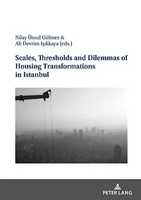 Scales, Thresholds And Dilemmas Of Housing Transformations Istanbul