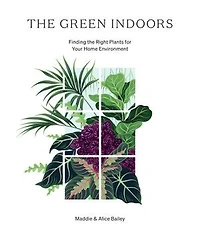 The Green Indoors: Finding Right Plants For Your Home Environment