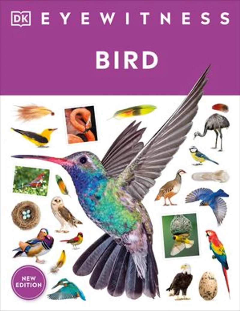 Eyewitness Bird