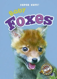 Baby Foxes