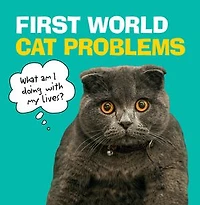 First World Cat Problems: What Am I Doing With My Lives?