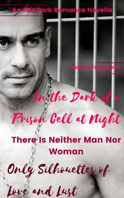 In the Dark of a Prison Cell at Night, There Is Neither Man Nor Woman, Only Silhouettes of Love and Lust: An MM Dark Romance Novella