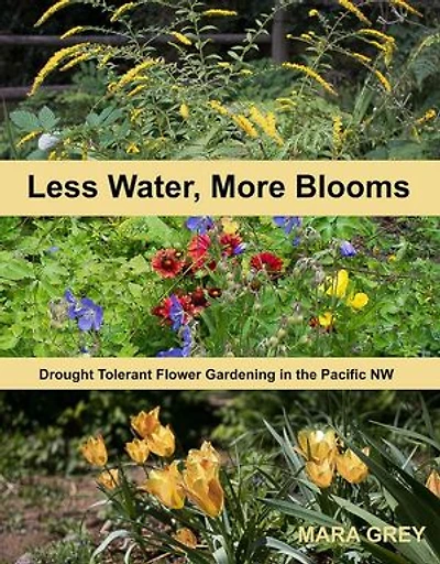 Less Water, More Blooms: Drought-Tolerant Flower Gardening in the Pacific NW