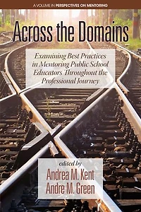 Across the Domains: Examining Best Practices Mentoring Public School Educators throughout Professional Journey