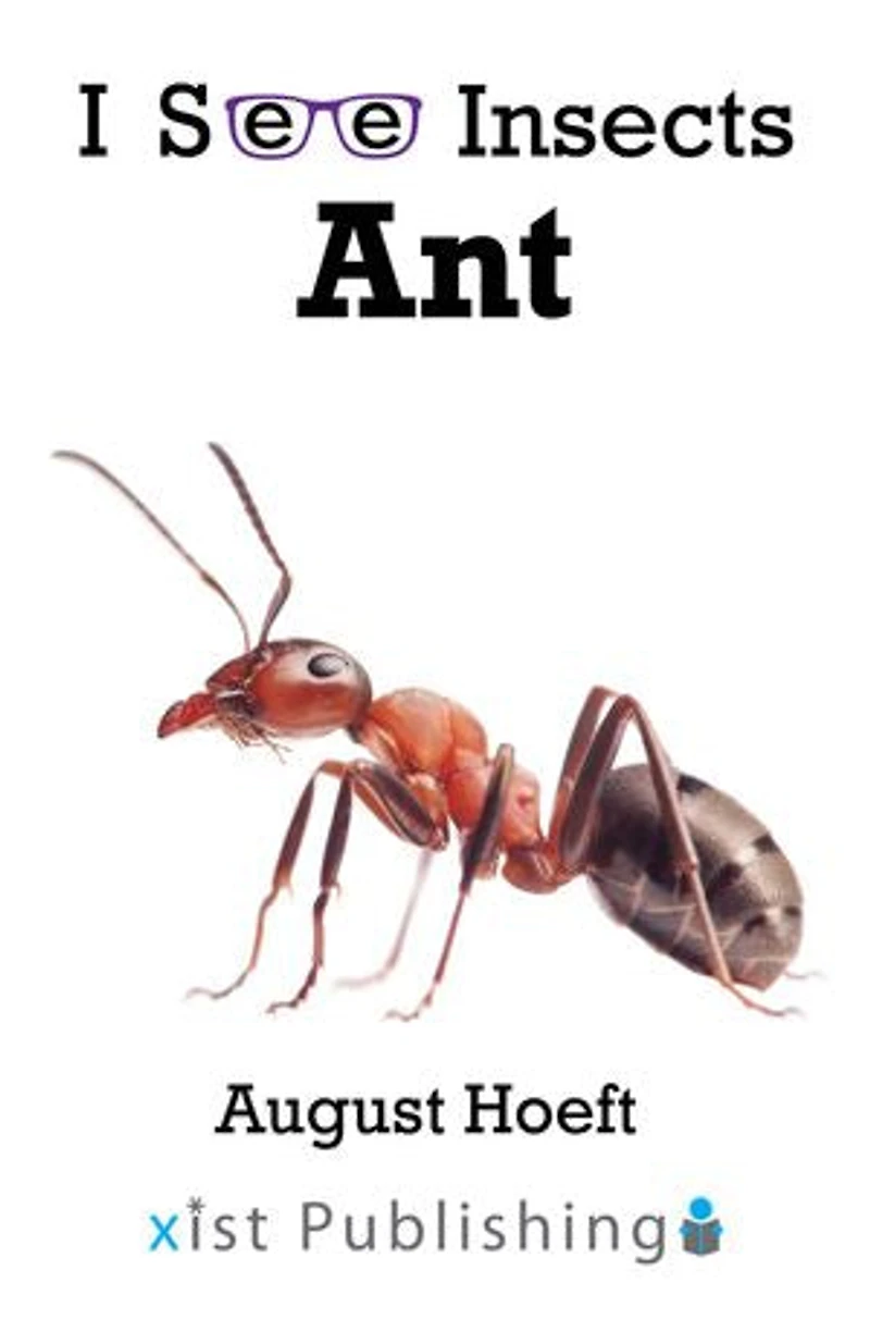 Ant