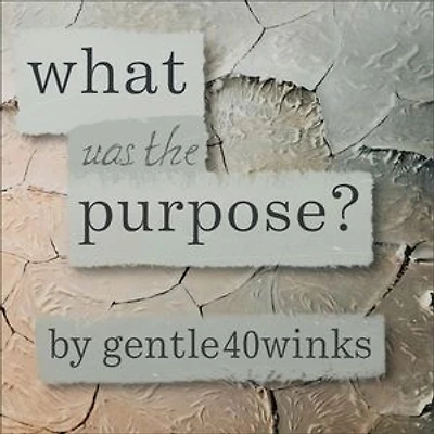 What was the Purpose?