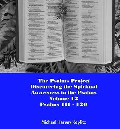 The Psalms Project Volume Twelve - Discovering the Spiritual World through the Psalms – Psalm 111 - 120: Psalms Project, #12
