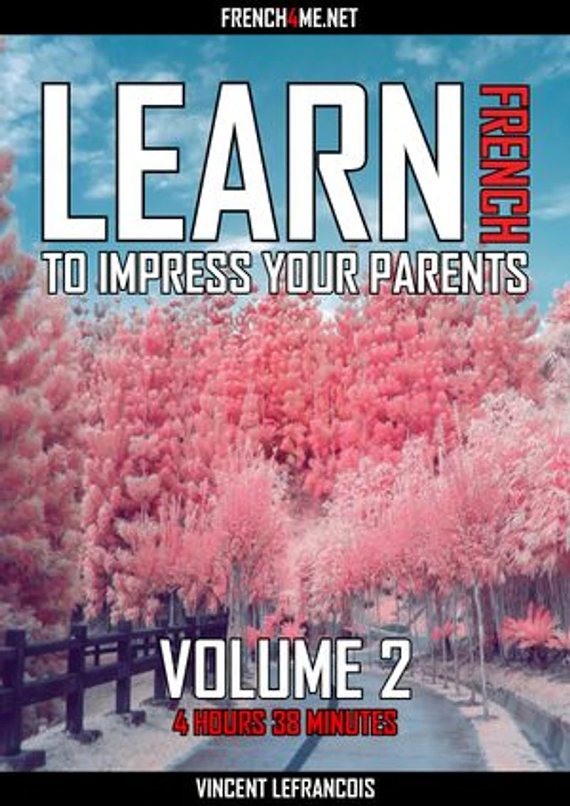 Learn French to impress your parents (4 hours 38 minutes) - Vol 2