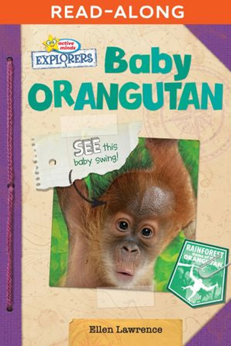 Baby Orangutan