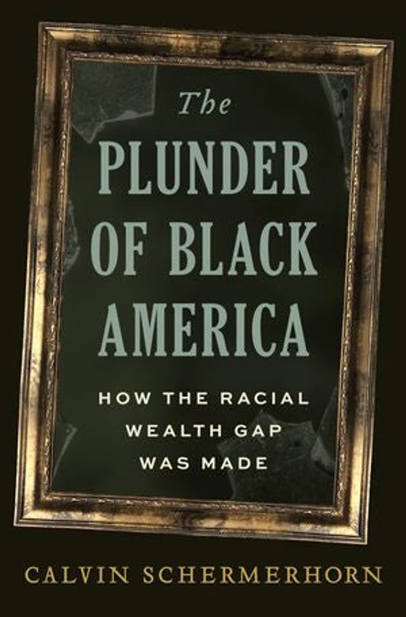 the Plunder of Black America: How Racial Wealth Gap Was Made