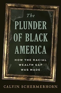 the Plunder of Black America: How Racial Wealth Gap Was Made