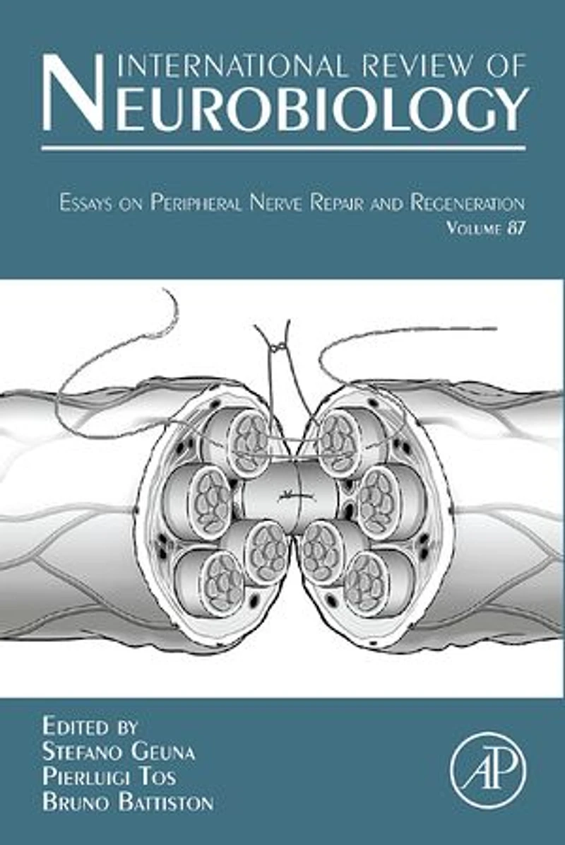 Essays on Peripheral Nerve Repair and Regeneration