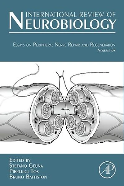 Essays on Peripheral Nerve Repair and Regeneration