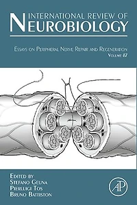 Essays on Peripheral Nerve Repair and Regeneration