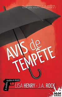 Avis de tempête: A malin, malin et demi, T3