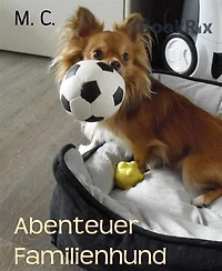 Abenteuer Familienhund: Mein Hundeleben in der Großfamilie