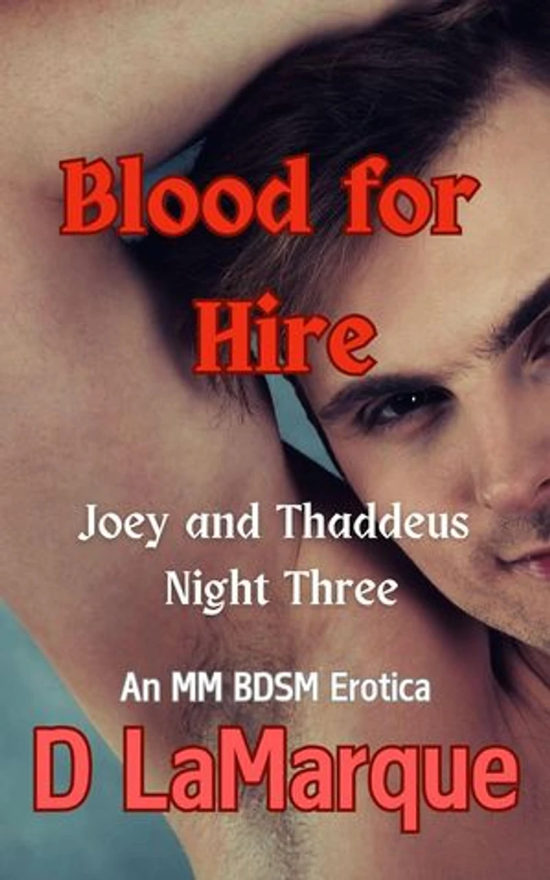 Blood for Hire: Joey and Thaddeus Night Three: Club V - Vampire human BDSM MM kink club, #3