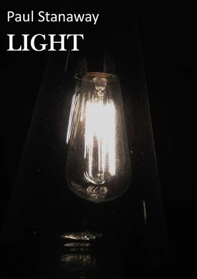 LIGHT: A modern day investigative horror. Novella.