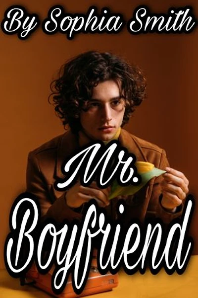 Mr. Boyfriend: Love At School