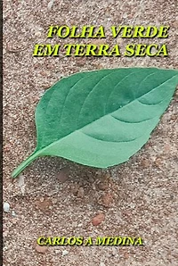 Folha Verde Em Terra Seca