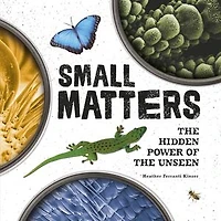 Small Matters: the Hidden Power of Unseen