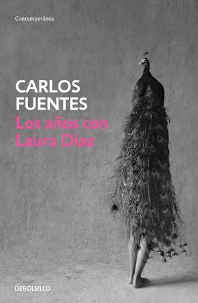 Los años con Laura Diaz / The Years with