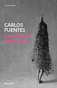 Los años con Laura Diaz / The Years with