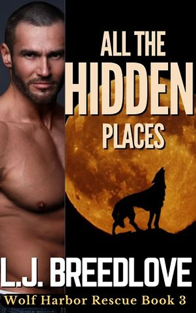 All the Hidden Places: Wolf Harbor Rescue #3