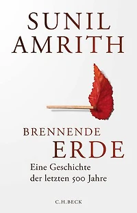 Brennende Erde: Eine Geschichte der letzten 500 Jahre