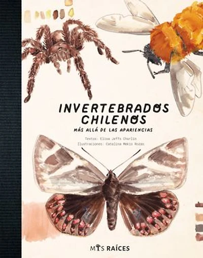 Invertebrados chilenos: Más allá de las pariencias