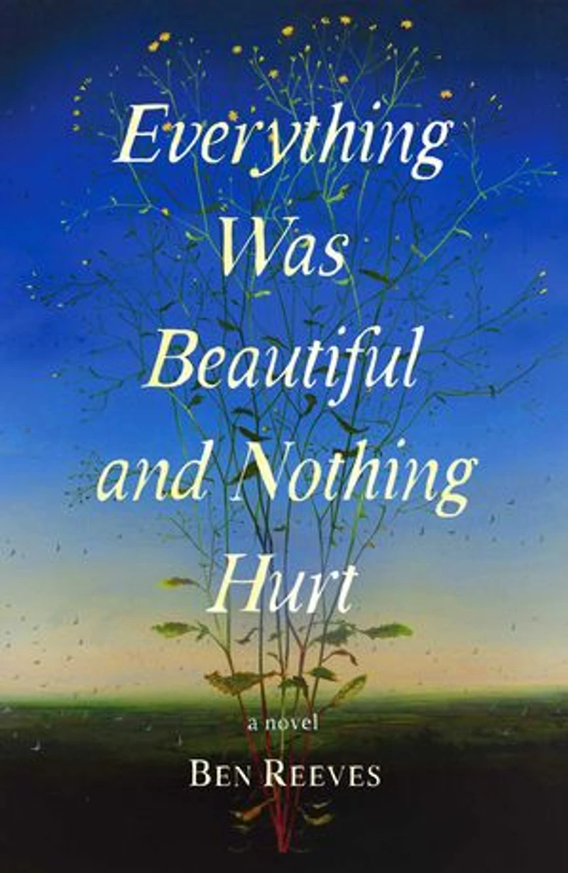Everything Was Beautiful and Nothing Hurt: A Novel