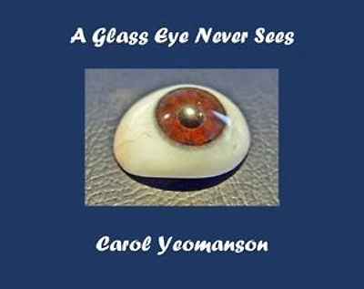 A Glass Eye Never Sees: A Newberry Knitters Mystery