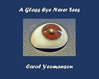 A Glass Eye Never Sees: A Newberry Knitters Mystery