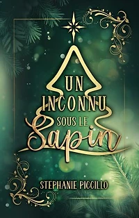 Un inconnu sous le sapin: Elle déteste Noël. Lui ne s’en souvient pas.